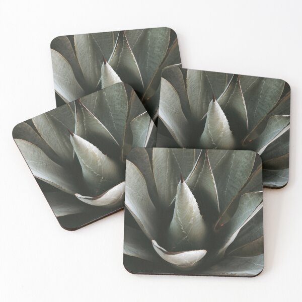 Item preview, Colorful large agave plant designed and sold by anytka.