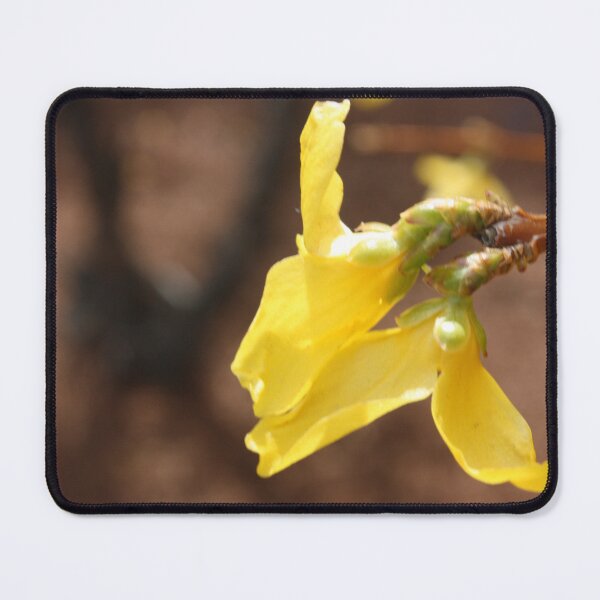 Item preview, First Yellow – Spring Blossom designed and sold by Misjessie30.