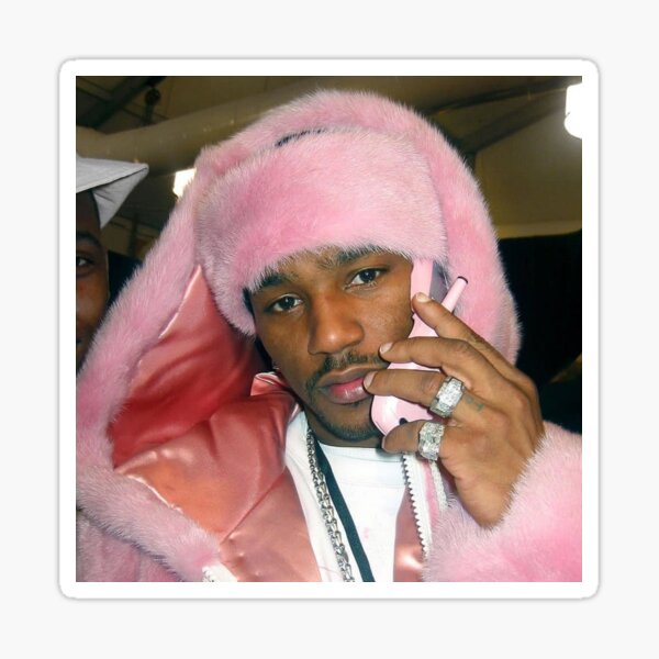 Cam Ron Pink Fur Coat  Cam'ron's Iconic Pink Fur Coat