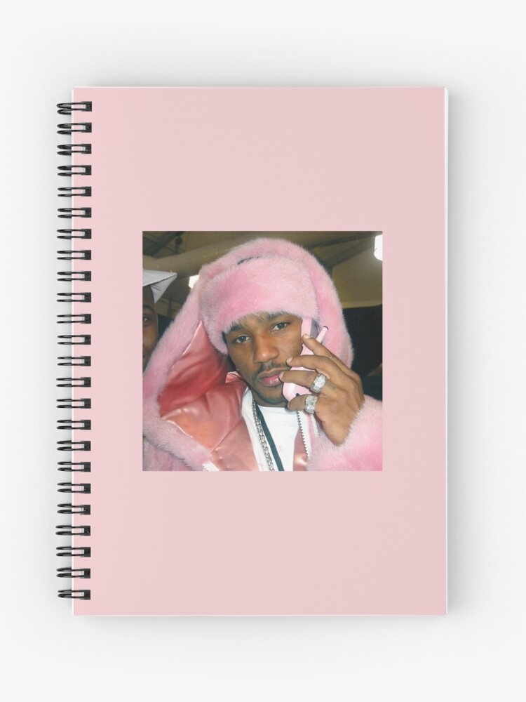 cam ron iconic pink coat