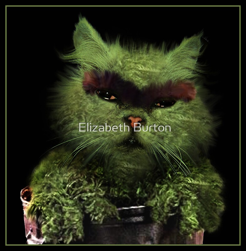 "Winniford The Grouch...Oscars Trashy Cousin...lol" by ...