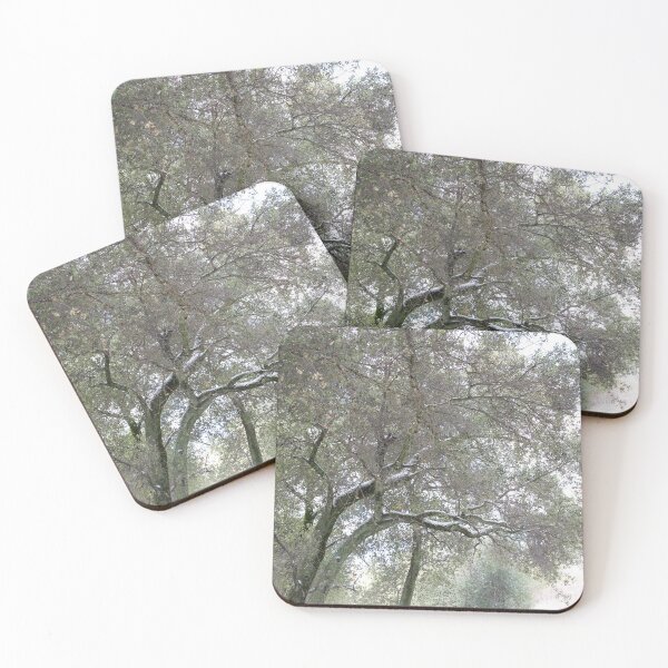 Item preview, I will always love you. Image Series 4 of 4, Nature Photography, Tree in Winter at Julian, snow designed and sold by artsychickphoto.
