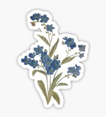 Myositis Sylvitica Sticker