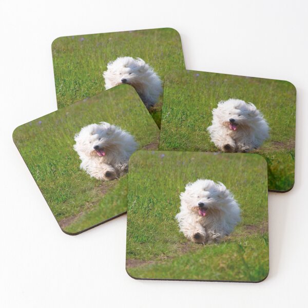 Item preview, Playful Coton de Tulear Running on Grass designed and sold by Bure-NS.