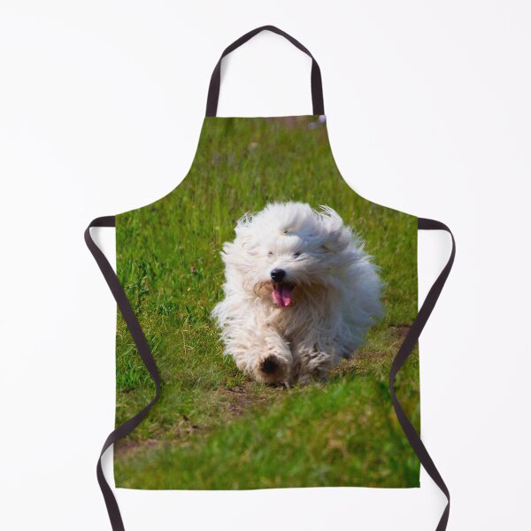 Item preview, Playful Coton de Tulear Running on Grass designed and sold by Bure-NS.