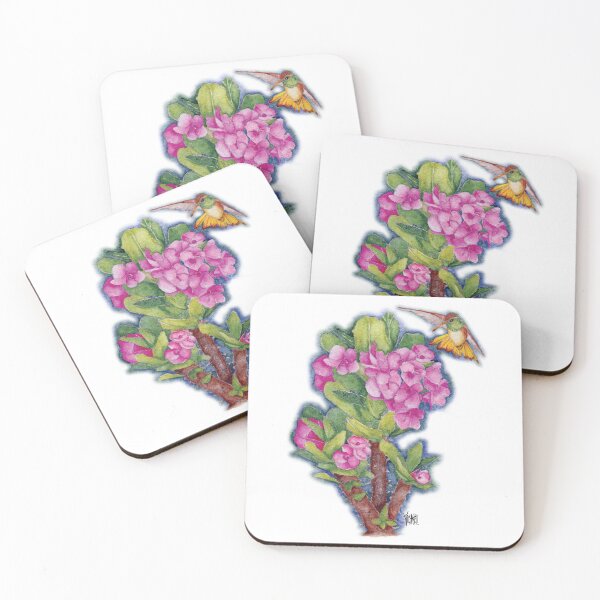 Item preview, Buff Bellied Hummingbird with Corona de Cristo designed and sold by Jesus Vichareli.