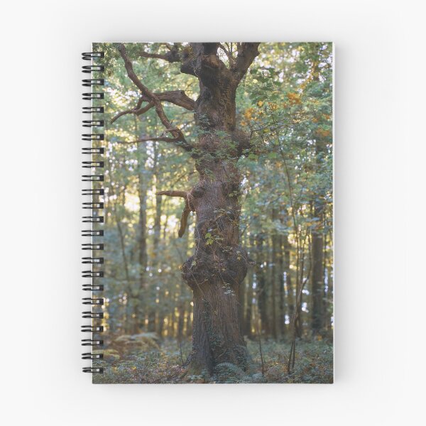 Item preview, My Favorite Tree designed and sold by Christine Lake.