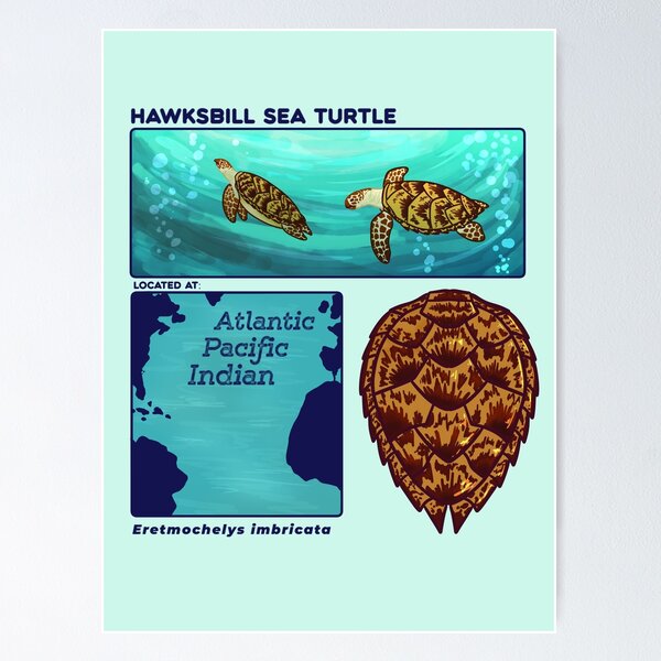 Item preview, Endangered Animals Hawksbill Sea Turtle designed and sold by Aloe and Monstera.