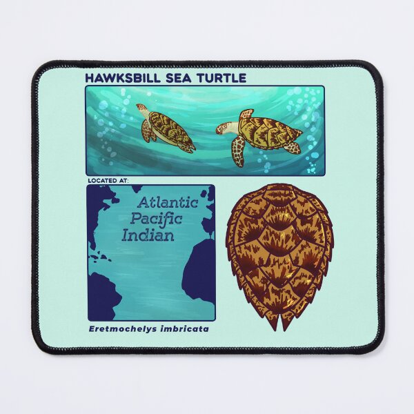Item preview, Endangered Animals Hawksbill Sea Turtle designed and sold by Aloe and Monstera.