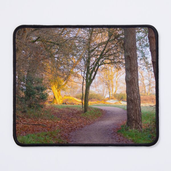 Item preview, Going out in first morning sunshine designed and sold by jchanders.