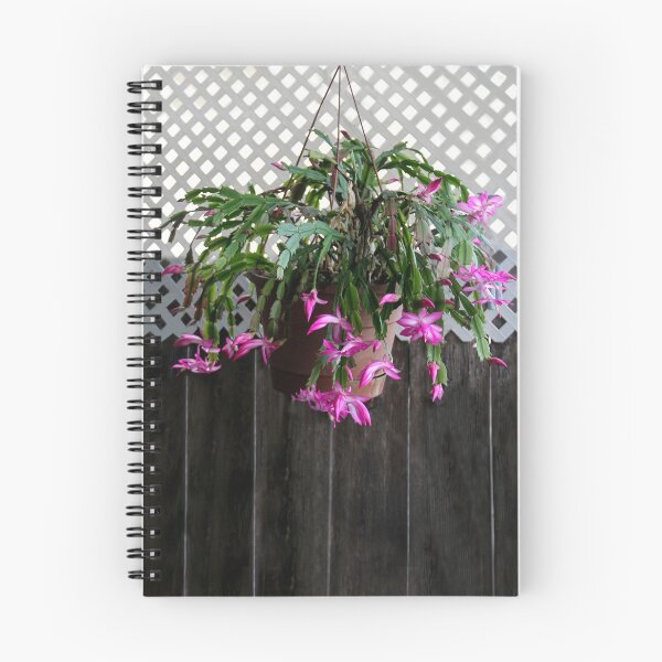 Item preview, Zygocactus in Bloom designed and sold by heatherfriedman.