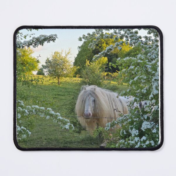 Item preview, Golden Hour Pony – Chiltern Hills Countryside Print / Portret designed and sold by WildGatePrints.