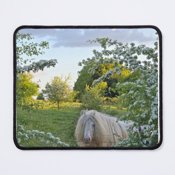 Item preview, Golden Hour Pony – Chiltern Hills Countryside Print / Landscape designed and sold by WildGatePrints.