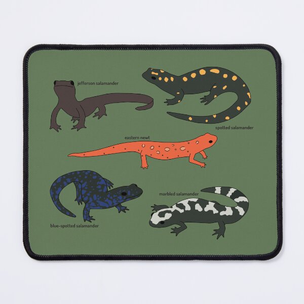 Item preview, Salamanders designed and sold by catchicadesign.