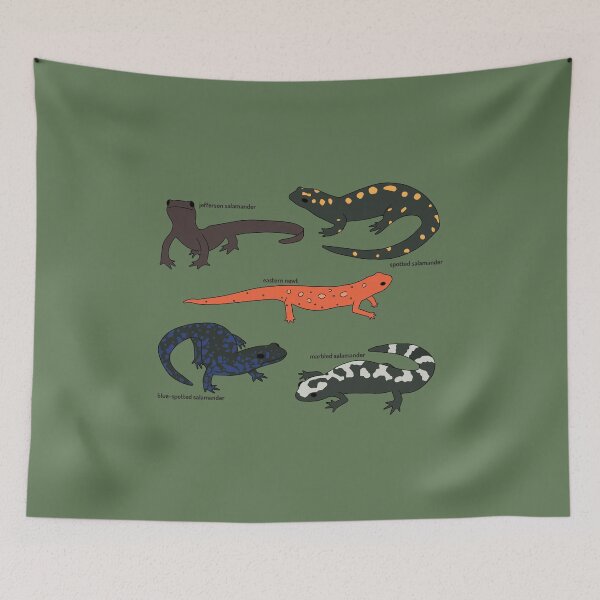 Item preview, Salamanders designed and sold by catchicadesign.