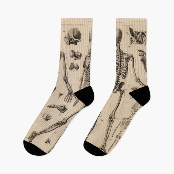 Item preview, anatomical illustration - Skeleton designed and sold by Lovelylochness.