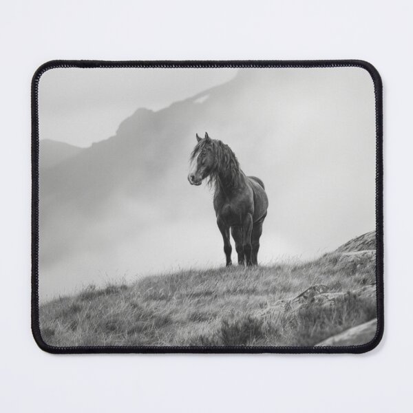 Item preview, A Percheron draft horse standing majestically on a hill Horses in Motion designed and sold by CDC40.