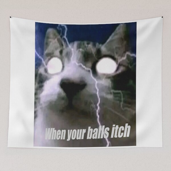 Item preview, Balls each cat designed and sold by Goofyc@ts.