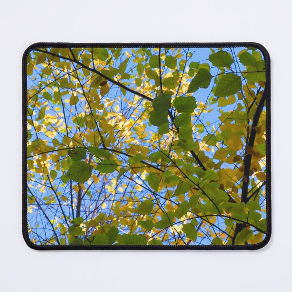 Item preview, Fall leaves designed and sold by Cblifeisgood.