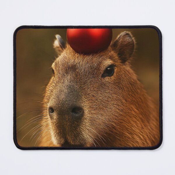 Item preview, merry capymas with a Cute Capybara with Red Christmas Ornament on Head – Funny Holiday Photo designed and sold by EmeraldeaArt.