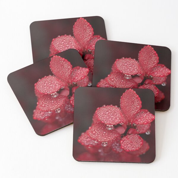 Item preview, Fog droplets on Burberry leaves  designed and sold by Cblifeisgood.