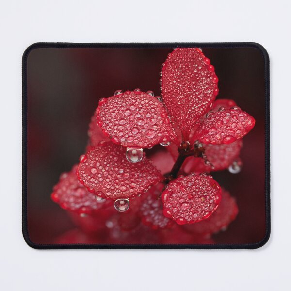 Item preview, Fog droplets on Burberry leaves  designed and sold by Cblifeisgood.