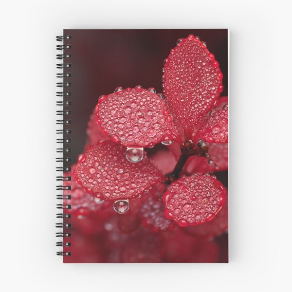 Item preview, Fog droplets on Burberry leaves  designed and sold by Cblifeisgood.