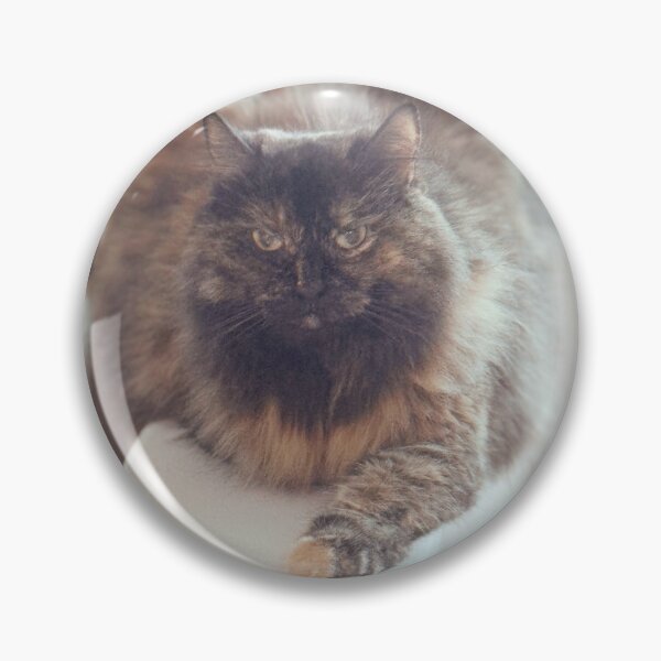 Item preview, Hazel Cat Tortoise designed and sold by PhotosbyGray.