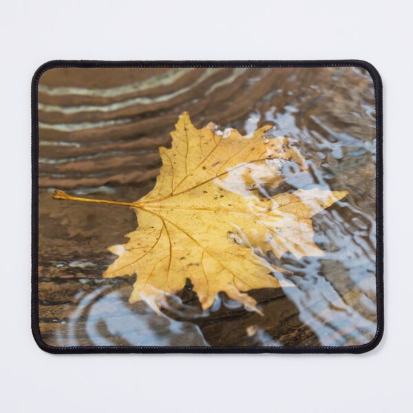 Item preview, Yellow Autumn Leaf Gliding on Rippling Water designed and sold by Georgia Mizuleva.