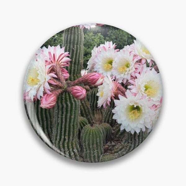 Item preview, Cactus festivo designed and sold by KiwiImages.
