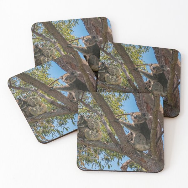 Item preview, Three Australian Koalas Sharing a Gum Tree designed and sold by Colin Dixon.