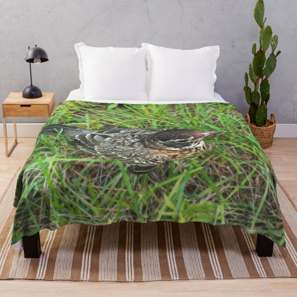 Item preview, A Friendly Fellow Stop By designed and sold by RCPphotography.