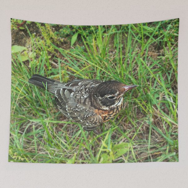 Item preview, A Friendly Fellow Stop By designed and sold by RCPphotography.