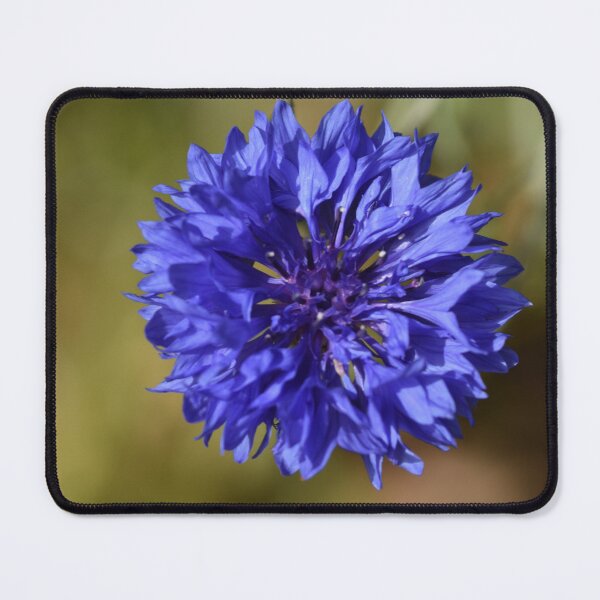Item preview, Cornflower Blue designed and sold by Michaela Perryman.