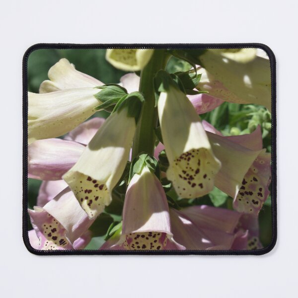 Item preview, Pastel Foxgloves designed and sold by Michaela Perryman.