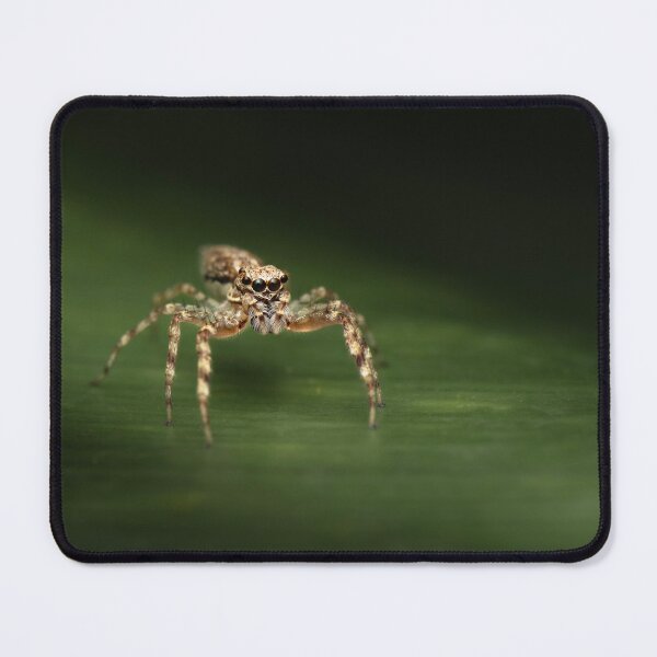Item preview, Bronze Hopper Jumping Spider designed and sold by robdwildlife.
