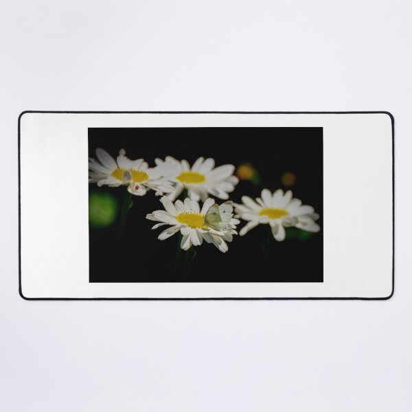 Item preview, Butterfly on a Flower  designed and sold by D-GaP.