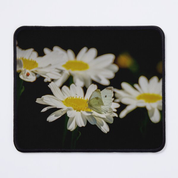 Item preview, Butterfly on a Flower designed and sold by D-GaP.