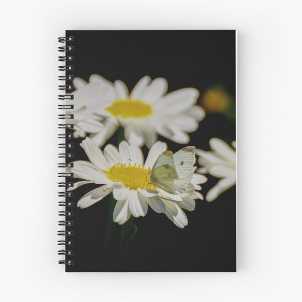 Item preview, Butterfly on a Flower  designed and sold by D-GaP.