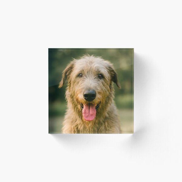 Item preview, Irish Wolfhound Dog designed and sold by BackgroundND.