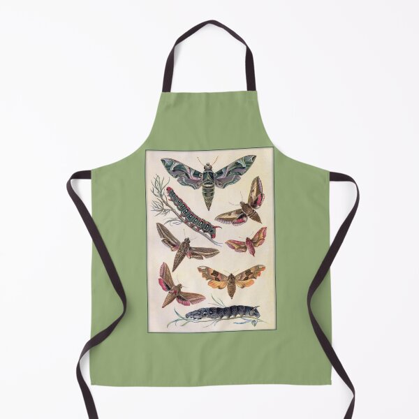 Item preview, Lepidopterological Print: Colorful Moths and Caterpillars designed and sold by Tridentulus.