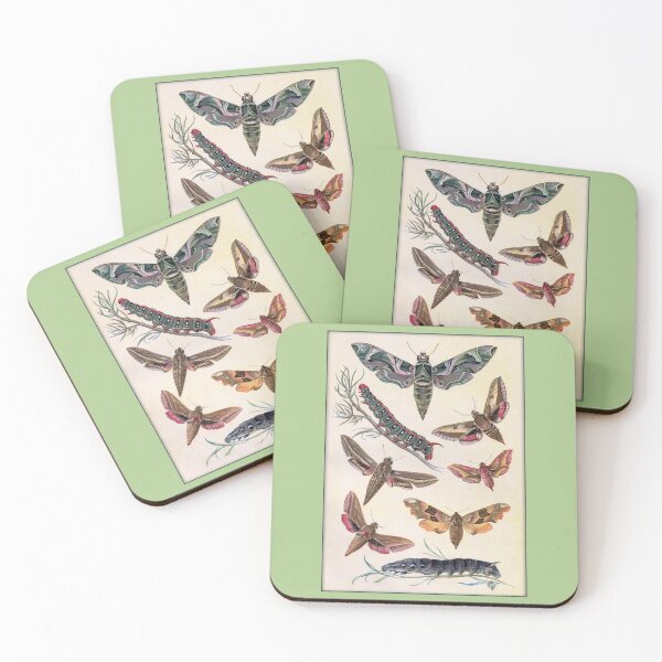 Item preview, Lepidopterological Print: Colorful Moths and Caterpillars designed and sold by Tridentulus.