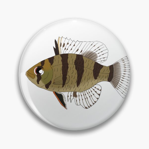 Item preview, Black-banded Sunfish designed and sold by Joe Hernandez.