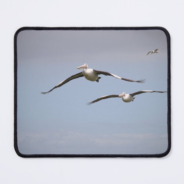 Item preview, Soaring Pelicans designed and sold by Michaela Perryman.