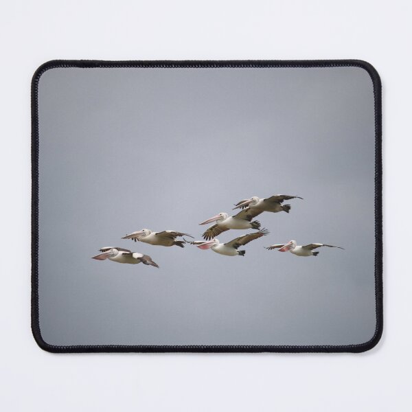 Item preview, Pelican Formation designed and sold by Michaela Perryman.