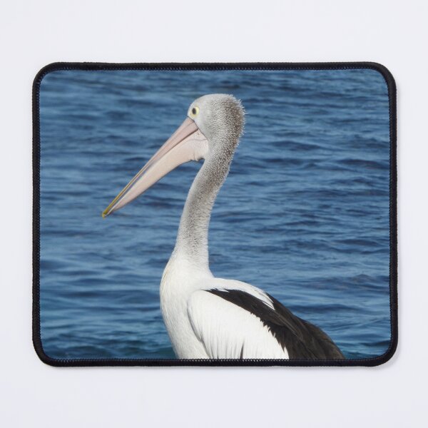 Item preview, Pelican Perch designed and sold by Michaela Perryman.