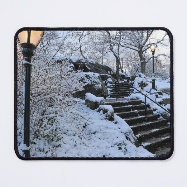 Item preview, Central Park featuring a classic black lamp post designed and sold by Justin Mckinney.