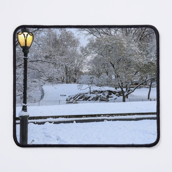 Item preview, A peaceful winter scene in Central Park designed and sold by Justin Mckinney.