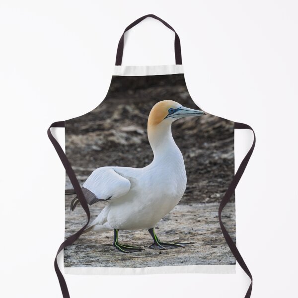 Item preview, Gannet at Rest designed and sold by Jan Fijolek.