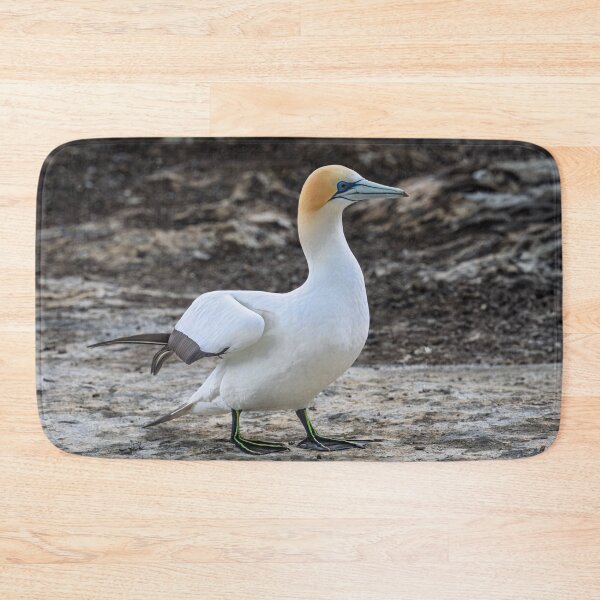 Item preview, Gannet at Rest designed and sold by Jan Fijolek.